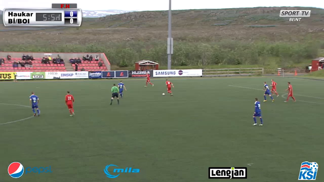 Sjáðu mörkin: Haukar lögðu Djúpmenn